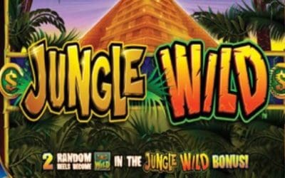 Jungle Wild Slots is a Favorite for Slot Players